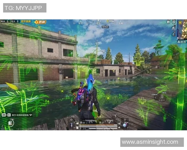 和平精英巨献：深入解析TES战队的极速战术与团队协作