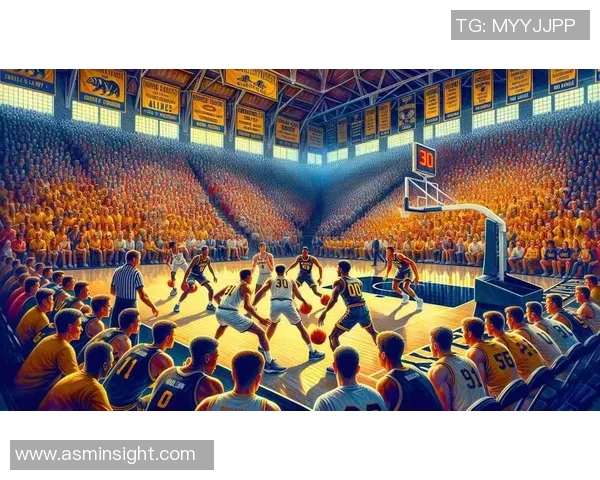 对话陈军：回顾篮球生涯的辉煌与挑战与未来展望