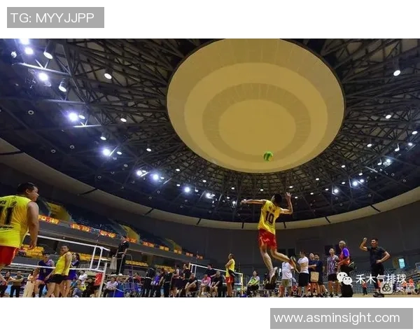 重庆排球队在钻石联赛中的默契配合与战术执行分析