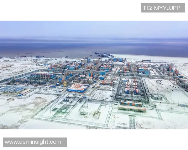 亚马尔地区的资源开发与国际合作前景分析与展望